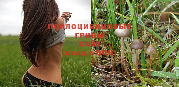 мескалин Кукмор