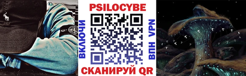 Псилоцибиновые грибы Cubensis  hydra как зайти  Вуктыл  где найти наркотики 